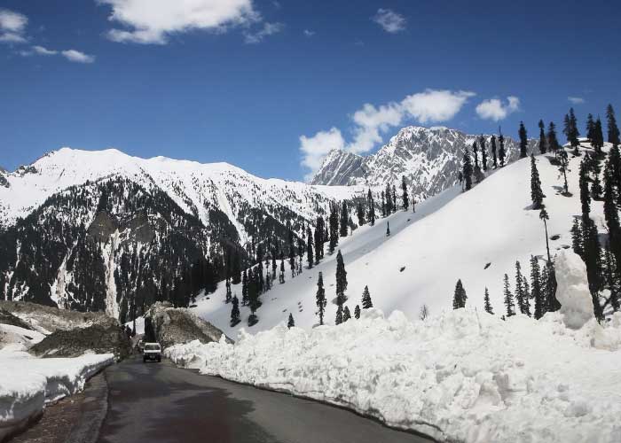 Day 2 : Srinagar - Sonmarg- Srinagar 