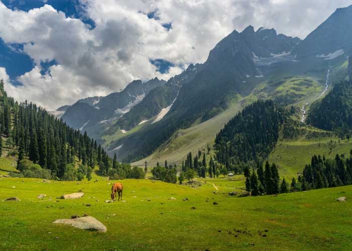 Day 03-Srinagar- Pahalgam- Srinagar Day 03-Srinagar- Pahalgam- Srinagar