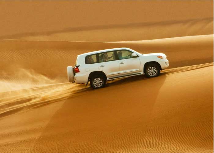 Day 03 Dubai - Desert safari BBQ Dinner 