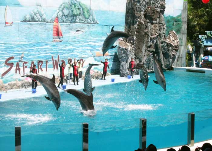 Day 05 Bangkok - Safari World & Marine Park Tour  Day 05 Bangkok - Safari World & Marine Park Tour