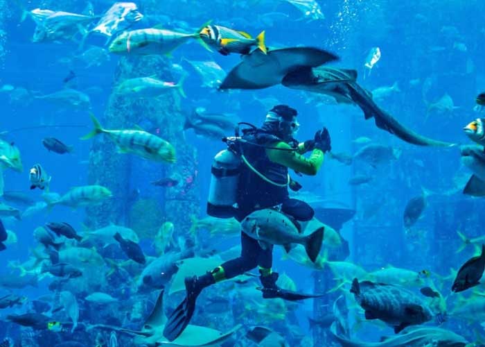 Day 04 Dubai - Aquarium & Underwater Zoo