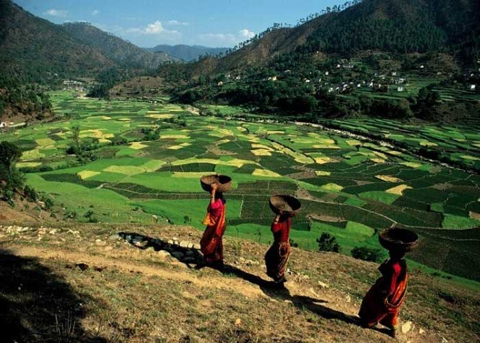 Day 04 Ranikhet to Kausani Day 04 Ranikhet to Kausani