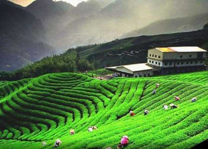 Day 06 Nainital to Kausani