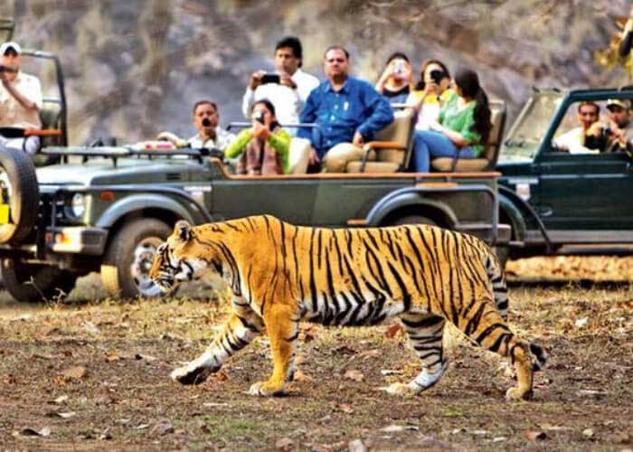 Day 08 Corbett to Delhi