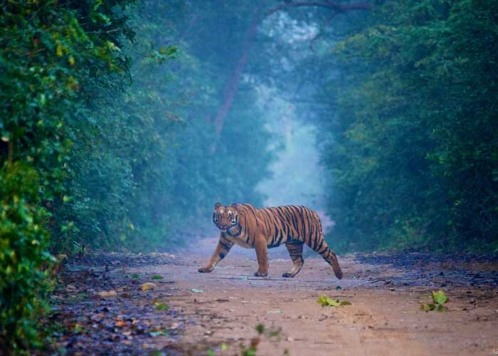 Day 03 Nainital to Corbett