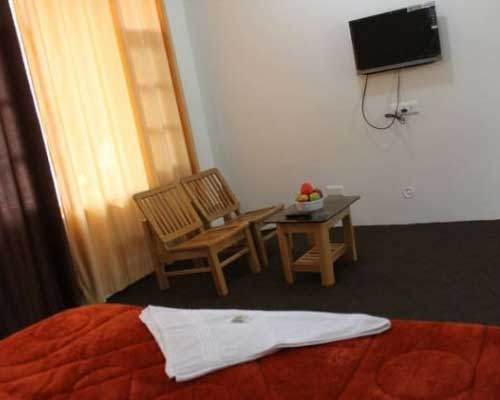 standard Shimla Manali Amritsar