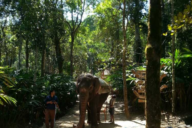 Day 04 : Munnar - Thekkady