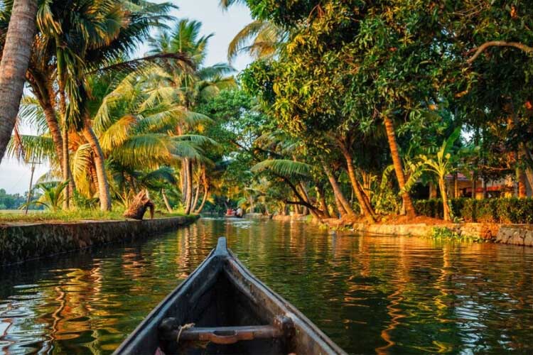 Day 06 Alleppey - Kumarakom 