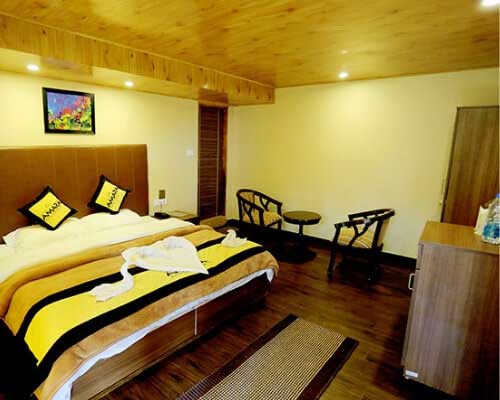 standard Alluring Varanasi