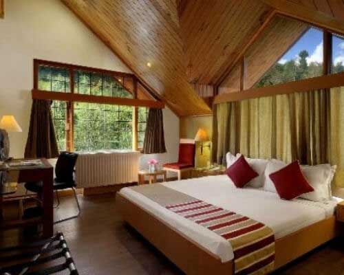 standard Enchanting South