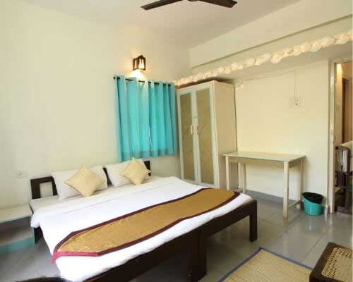 standard Exotic Shillong