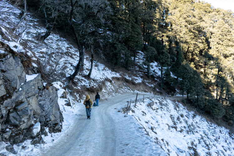 Day 02: Shimla - Kufri & Local