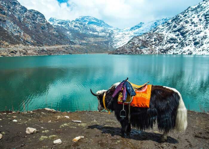 Day 05: Lachung–Gangtok 