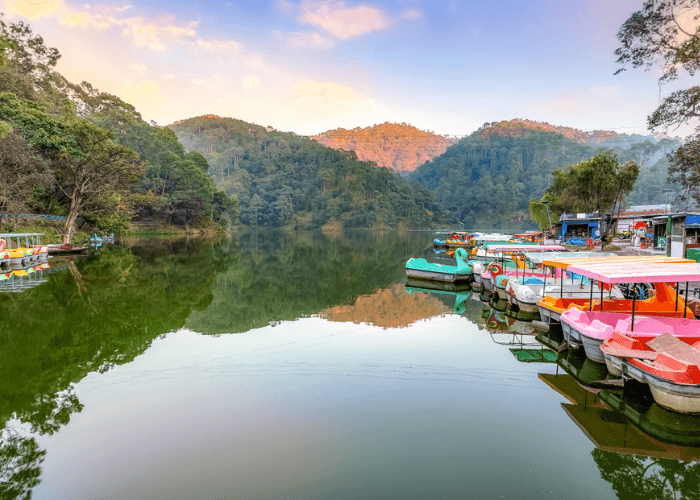 Day 3 : Nainital  – Delhi  Day 3 : Nainital  – Delhi