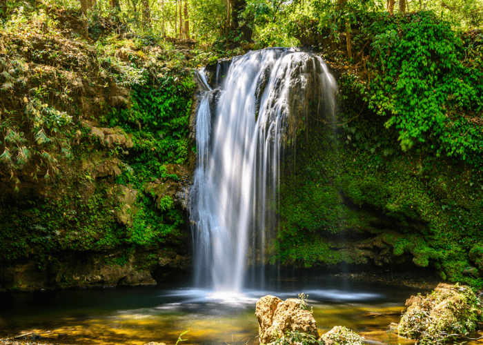 Day 1 : Delhi to Corbett Day 1 : Delhi to Corbett