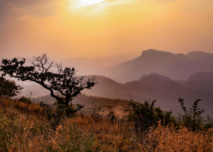 Day 04 Ujjain to Pachmarhi