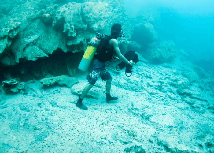 Day 5 : Havelock Island to Niel Island