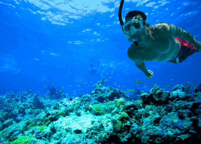 Day 5 : Havelock Island to Niel Island