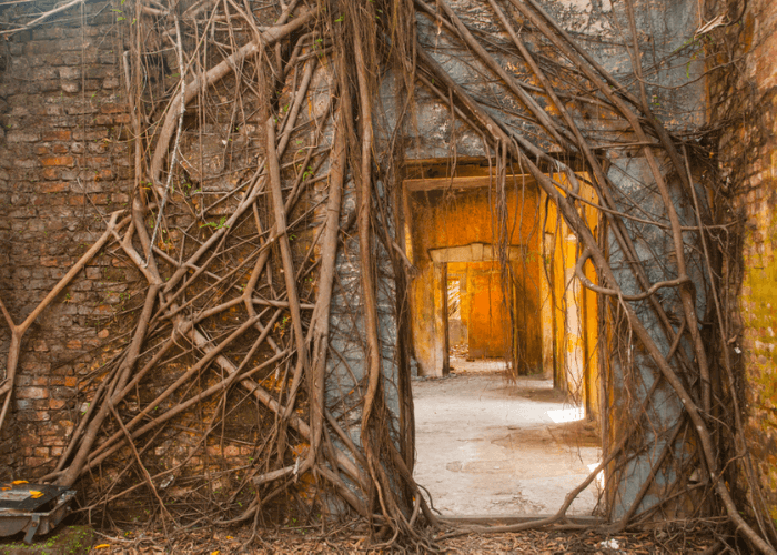 Day 3 : Havelock to Neil island Sightseeing 