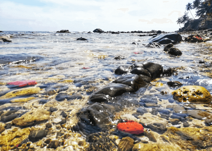 Day 02 : Excursion Ross Island & Back