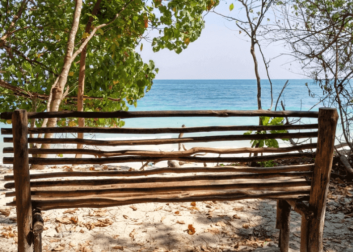 Day 03 : Excursion To Neil Island  & Back  Day 03 : Excursion To Neil Island  & Back