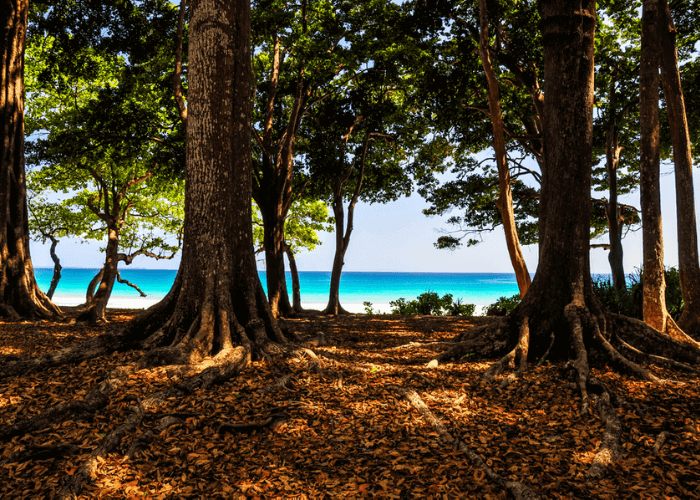 Day 4 : Excurtion to Kalapathar Beach