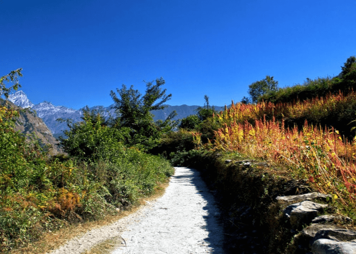 Urgam – Kalpeshwar – Urgam