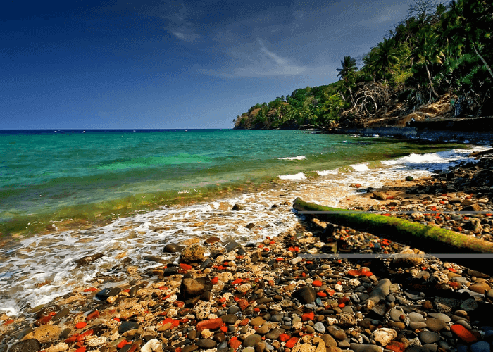 Day 01: Aarrive to Port Blair