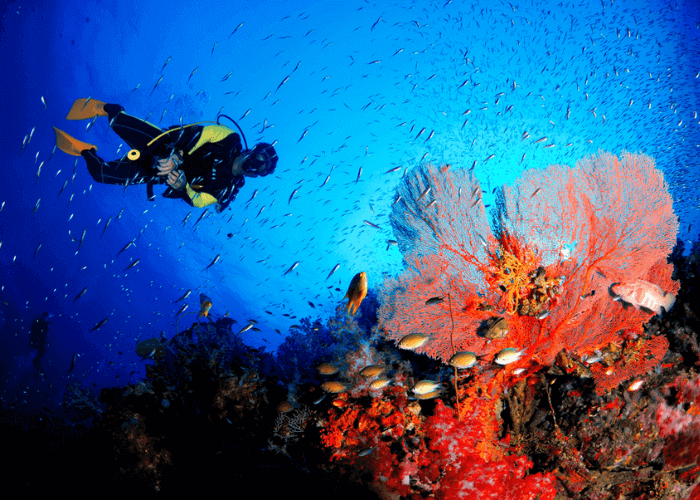 Day 2 : Port Blair – Ross Island Day 2 : Port Blair – Ross Island