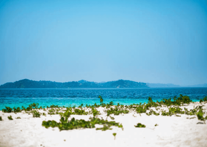 DAY 4 : Havelock Islands