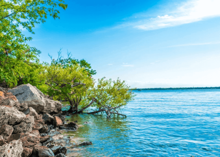 DAY 9 : Depart Port Blair – Airport Dropping