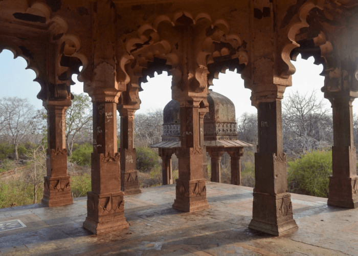 Day 03 : Ranthambhore Departure