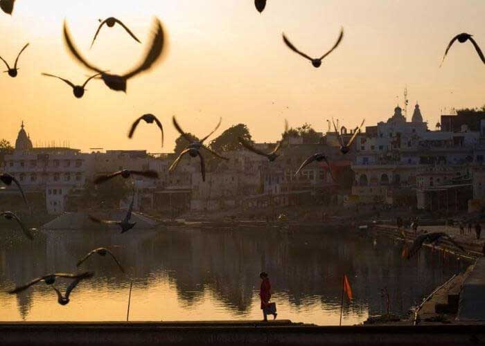 Day 8 : Udaipur - Pushkar