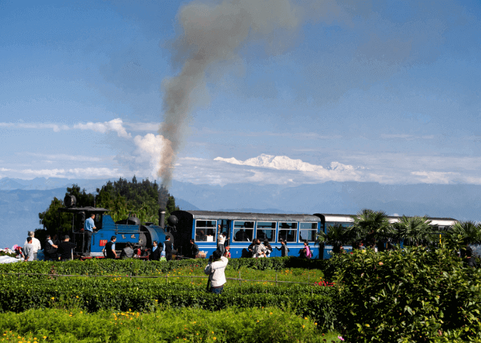 Day 5 : darjeeling sight sine