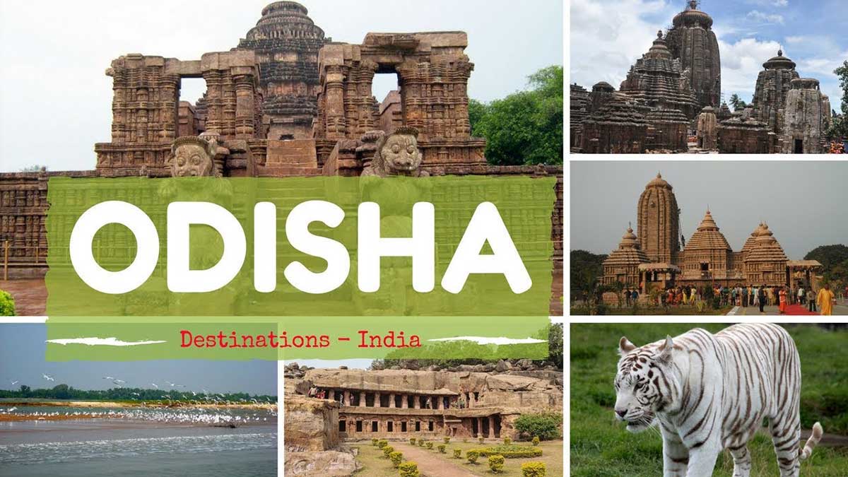 Odisha Tour Package 03 Nights 4 Days