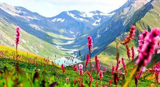 Valley Of Flowers Trek, Uttarakhand