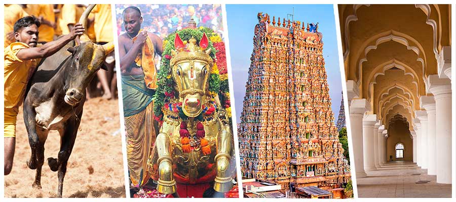 Heritage Temples Tour of Tamilnadu